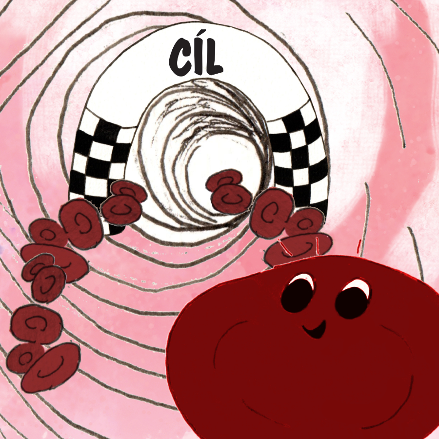 Krvinka závodí cévami směrem k cíli, míjí další červené krvinky